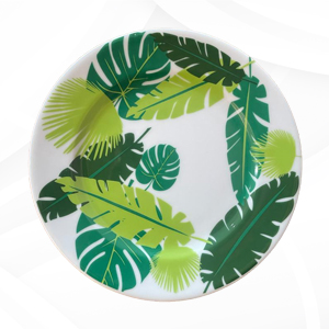 Rentamos Plato Base Floresta